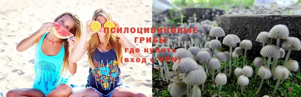 прущие крисы Армянск